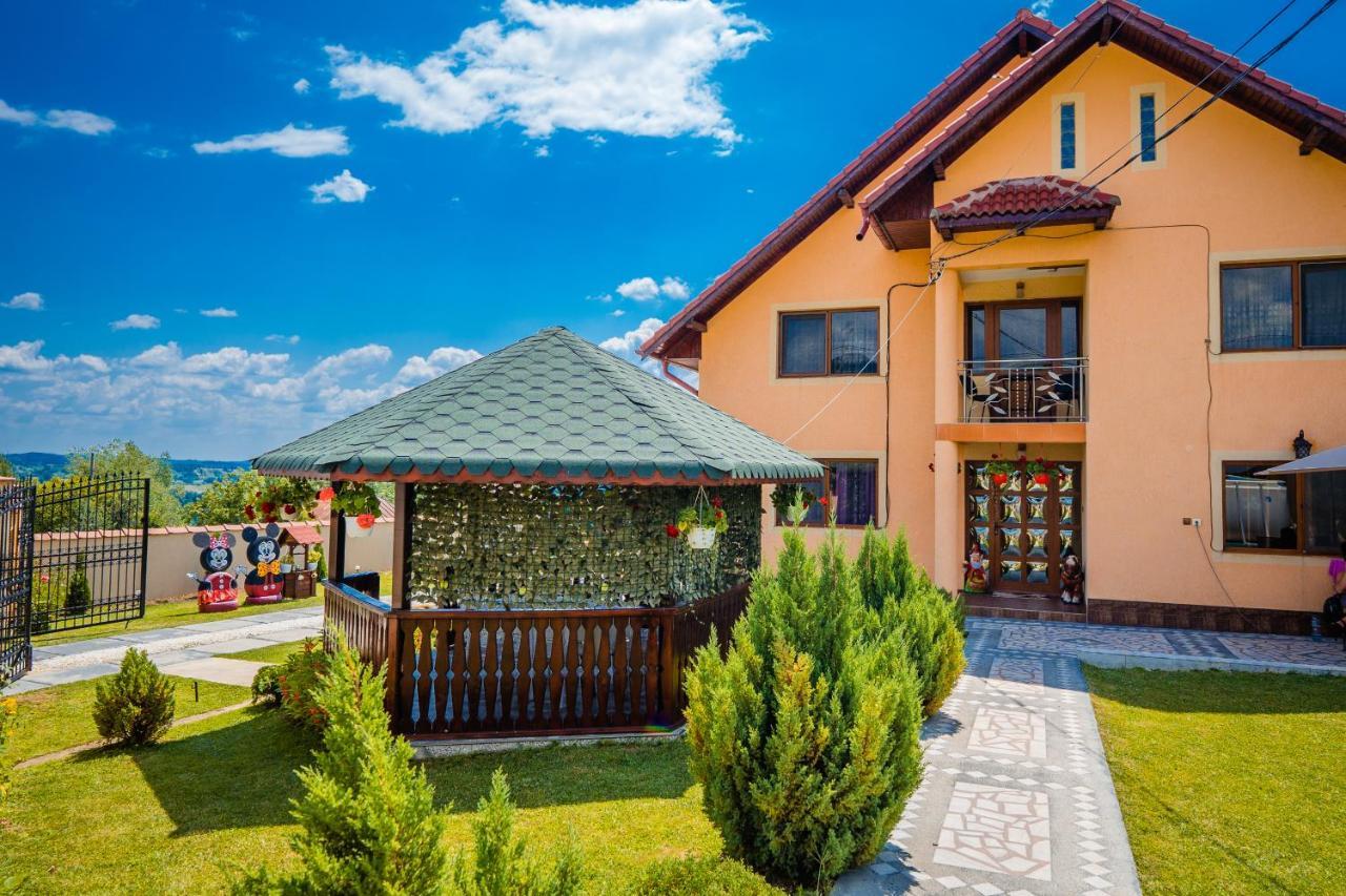 Pensiunea Adrian Novaci-Straini Exterior photo